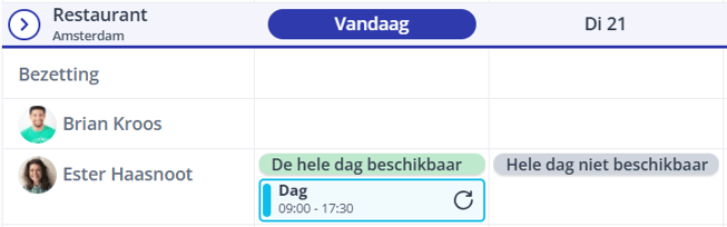 Beschikbaarheid in rooster tonen-1
