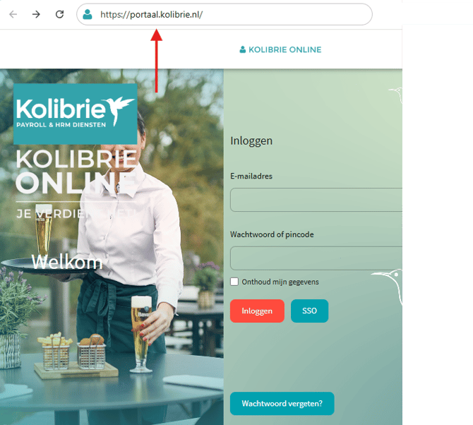 Kolibrie voorbeeld euur NL-1