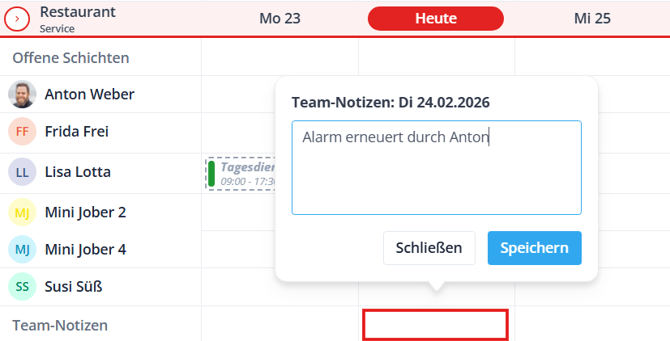 Team notes in schedule DE